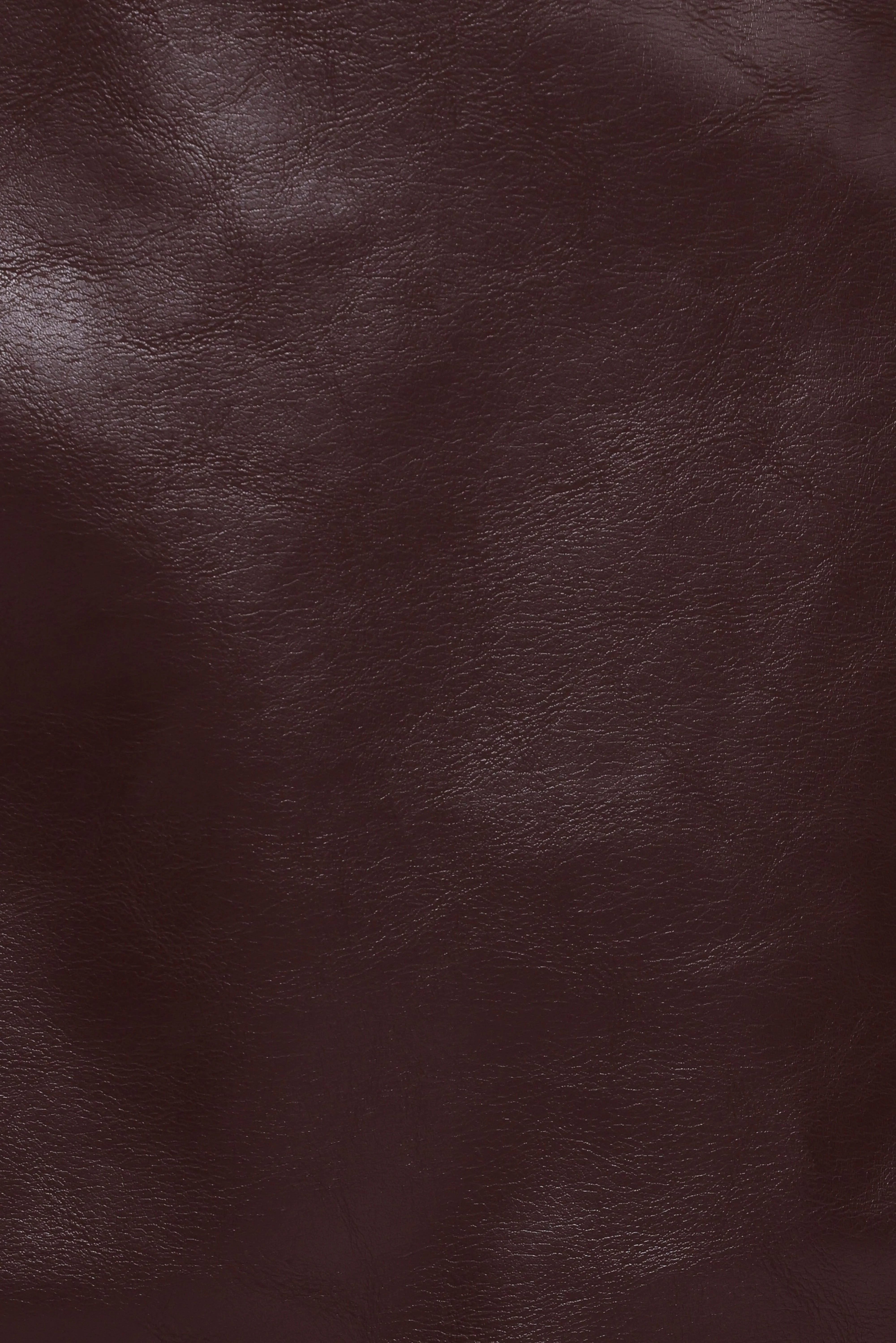 Parker Faux Leather Mini Skirt - Burgundy - Image 7